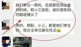 扬州小三最新爆料事件,揭秘婚外情背后的惊人真相