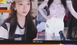 深圳爆料主播排行榜最新,最新排行揭晓，谁将问鼎巅峰？