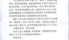 衡水最近爆料网信息最新,最新网络热议事件深度解析