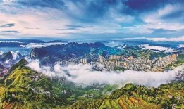 大渝网爆料台黔江区最新,爆料台揭秘黔江区新鲜事