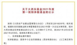 西安基金最新爆料公告,揭秘重大投资动态与市场动向
